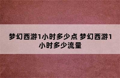 梦幻西游1小时多少点 梦幻西游1小时多少流量